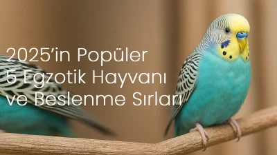 2025’te Türkiye’de Popüler Olan 5 Egzotik Hayvan ve Beslenme Sırları
